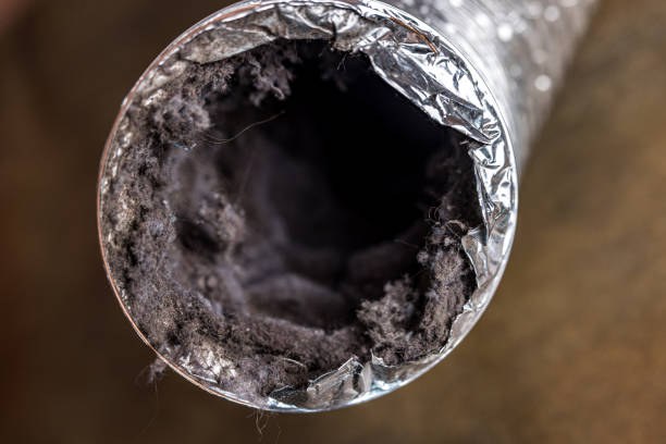 Best Best Air Duct Cleaning Company  in Bartlett, TN