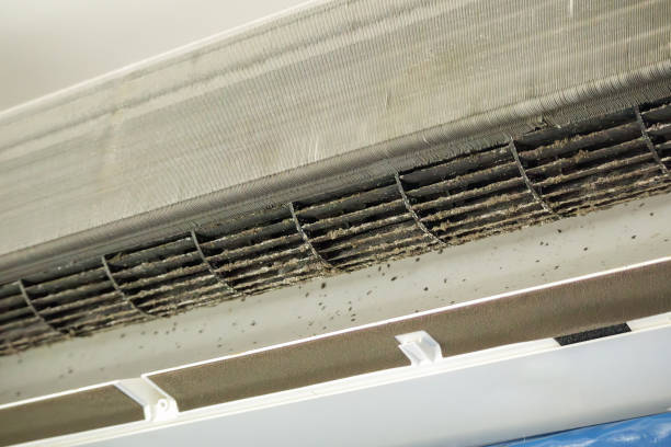Best Affordable Duct Cleaning Services  in Bartlett, TN